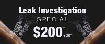 Leak Investigation Discount Herald Island